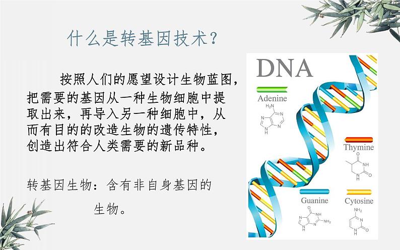 冀少版生物八年级下册  6.4现代生物技术 课件05