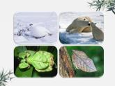 冀少版生物八年级下册  7.1.1环境对生物的影响 课件