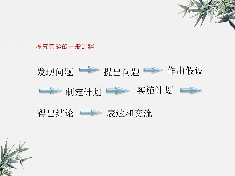 冀少版生物八年级下册  7.1.1环境对生物的影响 课件第7页