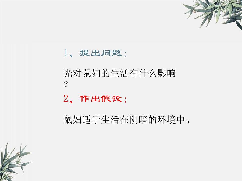 冀少版生物八年级下册  7.1.1环境对生物的影响 课件第8页