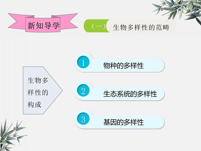 冀少版生物八年级下册  7.3.3保护生物多样性 课件04