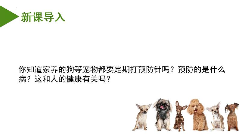 8.1.2+免疫和计划免疫（课件带教案学案同步作业）2022-2023学年八年级下册生物同步备课系列（人教版）03