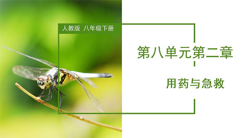 8.2+用药与急救（课件带教案学案同步作业2022-2023学年八年级下册生物同步备课系列（人教版）01