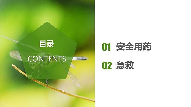 8.2+用药与急救（课件带教案学案同步作业2022-2023学年八年级下册生物同步备课系列（人教版）02