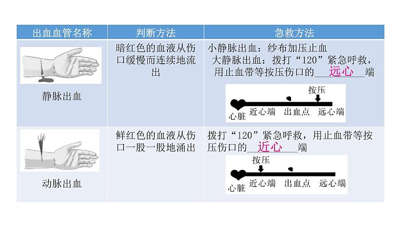 人教版八年级生物下册第二章健康地生活第二章用药与急救课件08