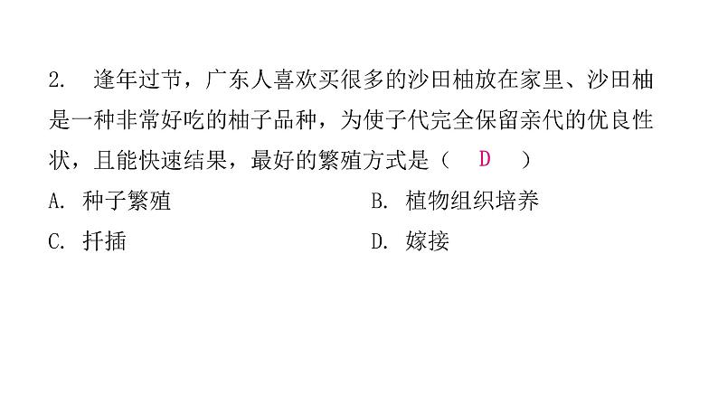 人教版八年级生物下册第一节腔肠动物和扁形动物课后作业课件第5页