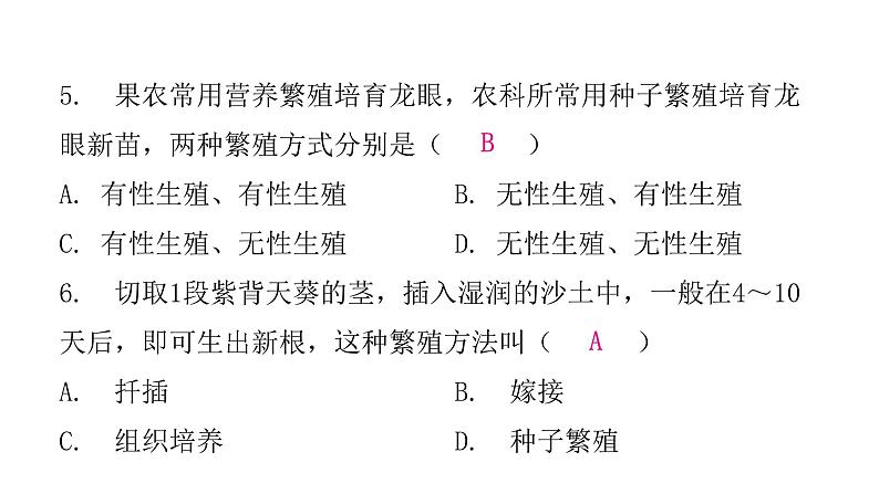 人教版八年级生物下册第一节腔肠动物和扁形动物课后作业课件第8页