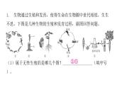 人教版八年级生物下册专项训练一读图理解课件