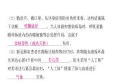 人教版八年級生物下冊專項訓(xùn)練二資料分析課件