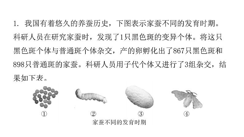 人教版八年级生物下册专项训练四综合应用课件03