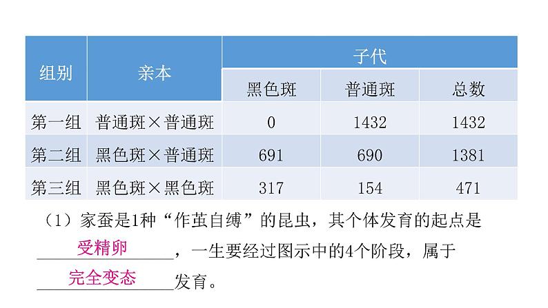 人教版八年级生物下册专项训练四综合应用课件04