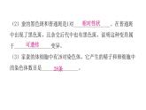人教版八年級生物下冊專項訓(xùn)練四綜合應(yīng)用課件