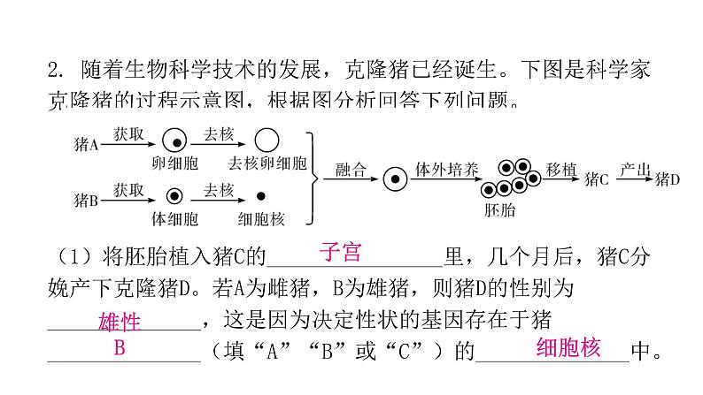 人教版八年级生物下册专项训练四综合应用课件07