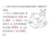 北师大版八年级生物下册专项训练一读图理解课件