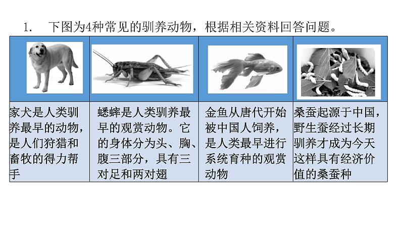 北师大版八年级生物下册专项训练二资料分析课件03