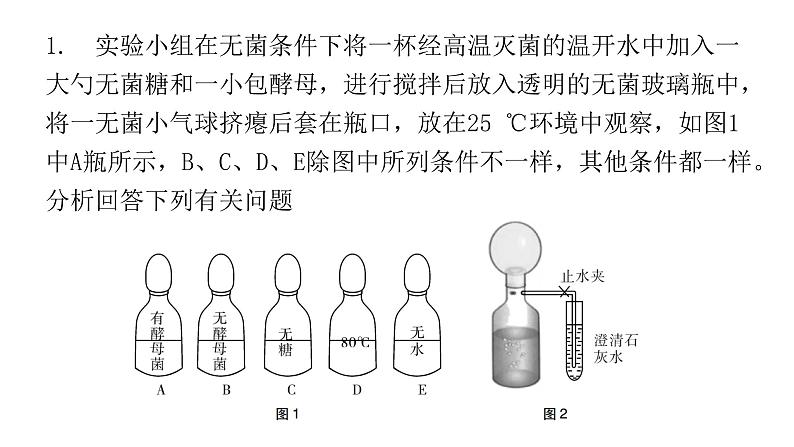 北师大版八年级生物下册专项训练三实验探究课件03