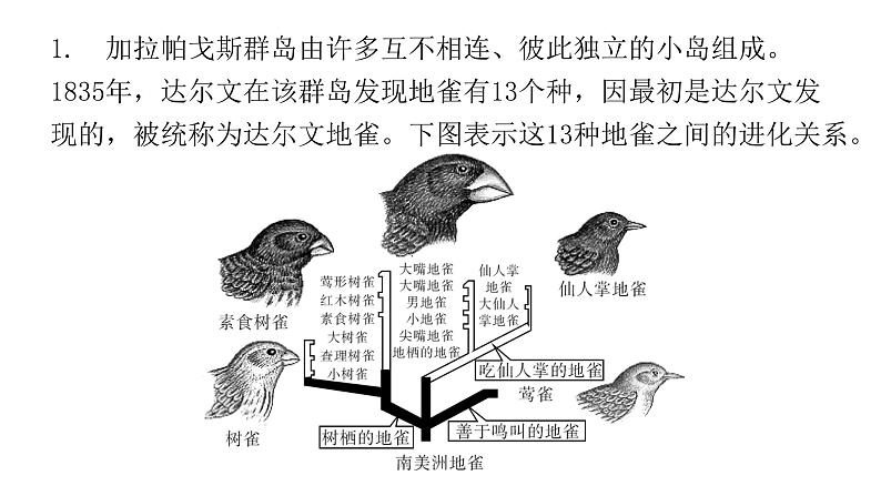 北师大版八年级生物下册专项训练四综合应用课件第3页