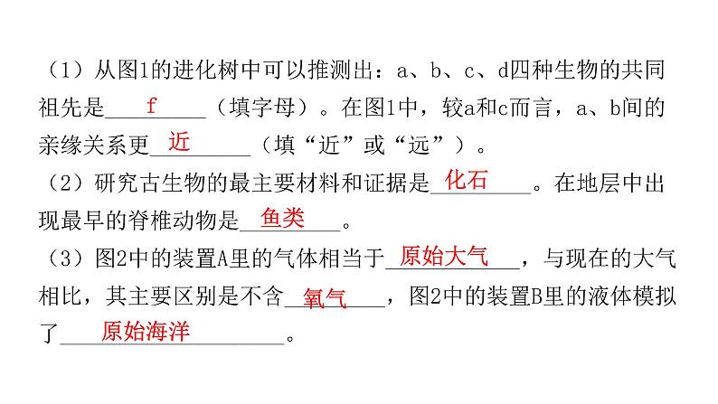 北师大版八年级生物下册专项训练四综合应用课件第7页