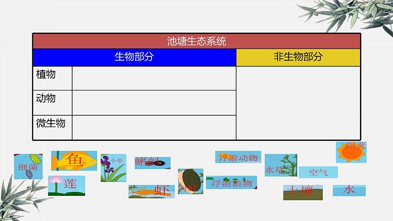 冀少版生物八年级下册：7.2.1 生态系统的组成和类型课件第6页