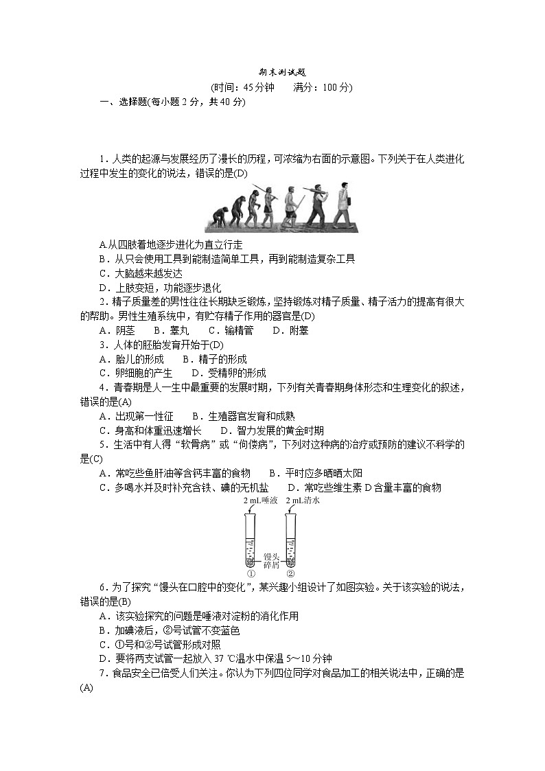 人教版七年级生物下册期末测试题含答案第1页