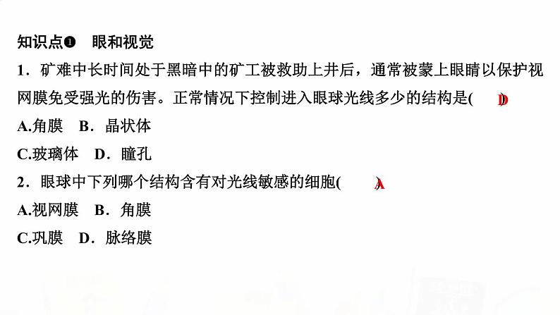 人教版七年级生物下册第一节人体对外界环境的感知作业课件第3页