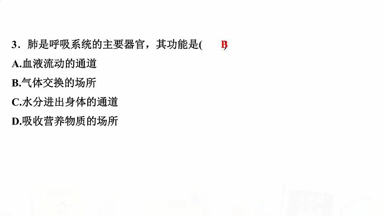 人教版七年级生物下册第一节呼吸道对空气的处理作业课件第4页