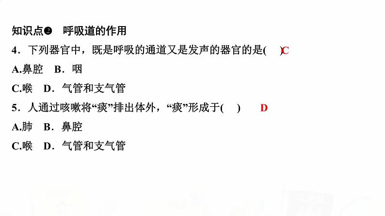 人教版七年级生物下册第一节呼吸道对空气的处理作业课件第5页