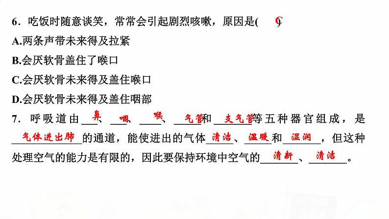 人教版七年级生物下册第一节呼吸道对空气的处理作业课件第6页