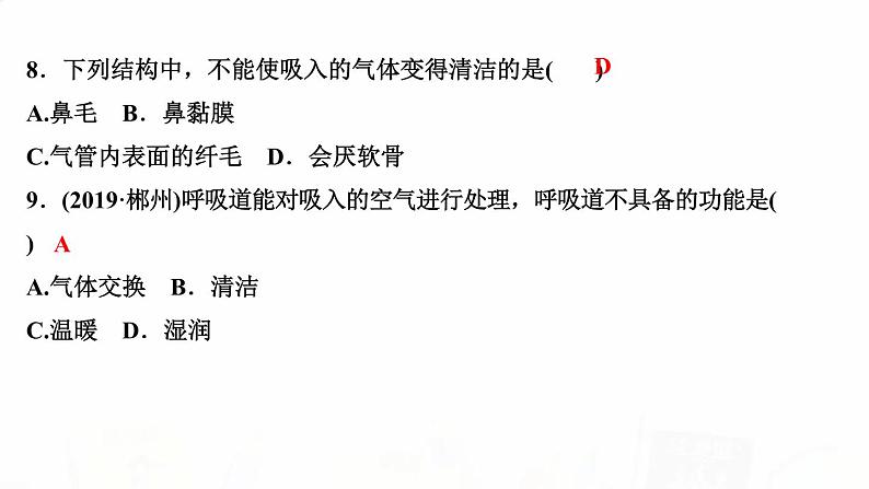 人教版七年级生物下册第一节呼吸道对空气的处理作业课件第8页