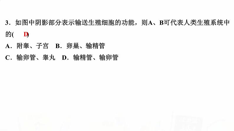 人教版七年级生物下册第二节人的生殖作业课件第4页