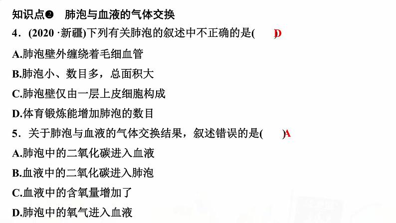 人教版七年级生物下册第二节发生在肺内的气体交换作业课件05