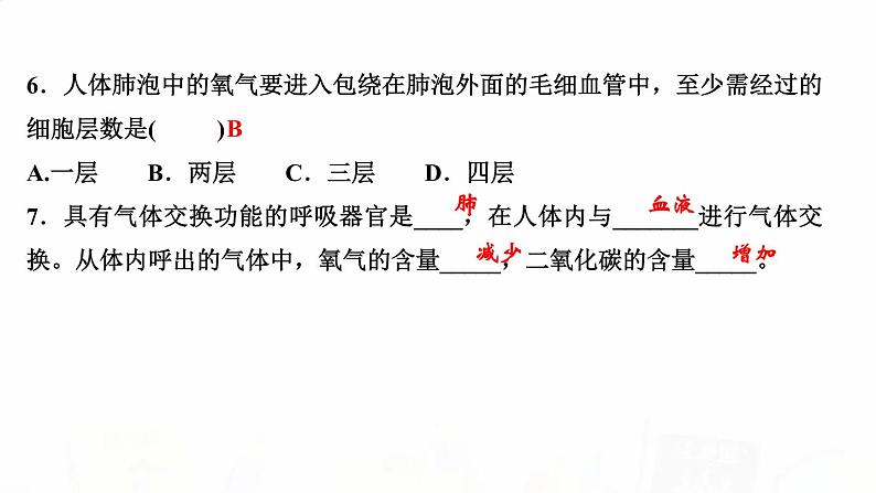 人教版七年级生物下册第二节发生在肺内的气体交换作业课件06