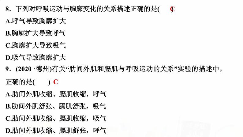 人教版七年级生物下册第二节发生在肺内的气体交换作业课件08