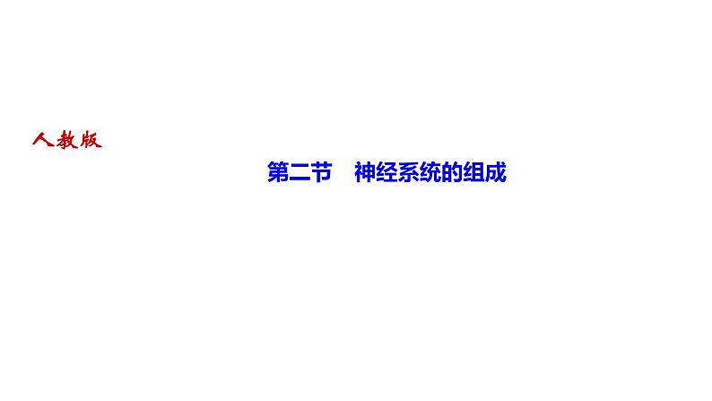 人教版七年级生物下册第二节神经系统的组成作业课件第1页