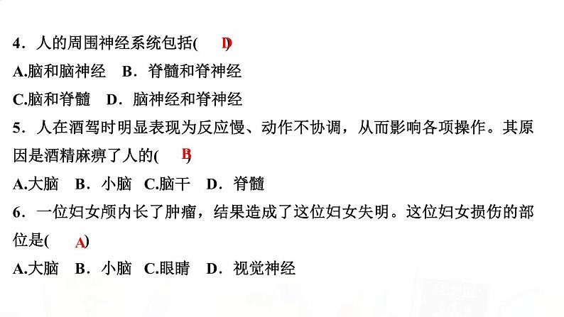 人教版七年级生物下册第二节神经系统的组成作业课件第4页