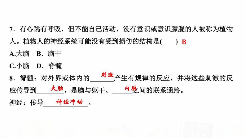 人教版七年级生物下册第二节神经系统的组成作业课件第5页