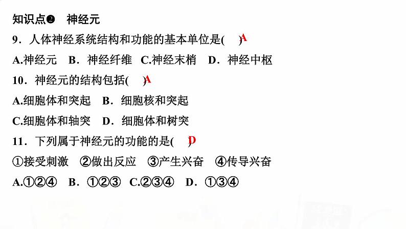 人教版七年级生物下册第二节神经系统的组成作业课件第6页