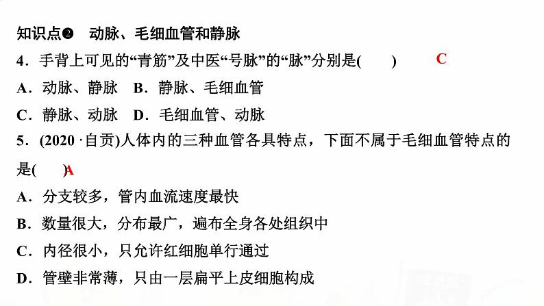 人教版七年级生物下册第二节血流的管道——血管作业课件05