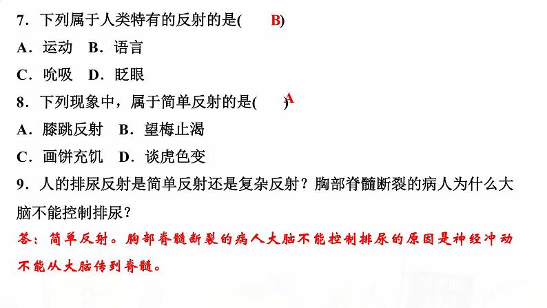 人教版七年级生物下册第三节神经调节的基本方式作业课件06