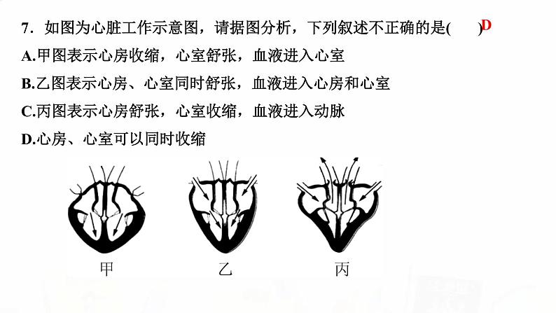 人教版七年级生物下册第三节输送血液的泵——心脏 第1课时心脏的结构和功能作业课件第7页