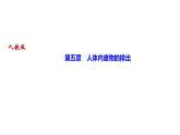 人教版七年级生物下册第五章人体内废物的排出作业课件
