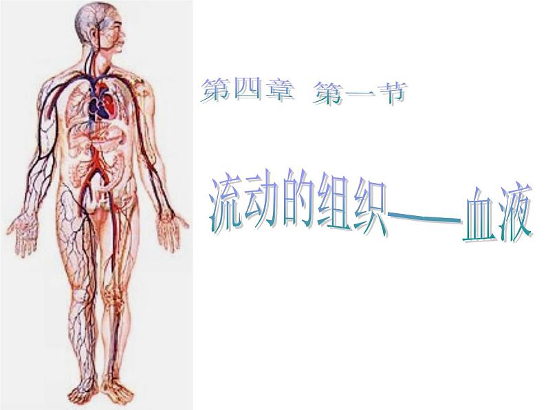 人教版七年级生物下册4-1流动的组织——血液(1)课件01