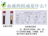 人教版七年级生物下册4-1流动的组织——血液(1)课件