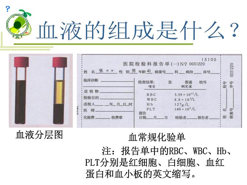 人教版七年级生物下册4-1流动的组织——血液(1)课件04