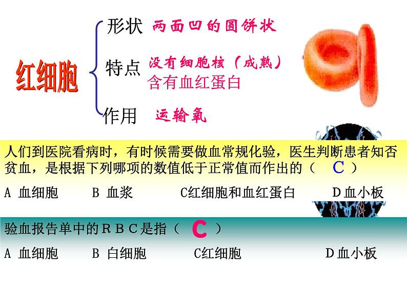 人教版七年级生物下册4-1流动的组织——血液(1)课件08