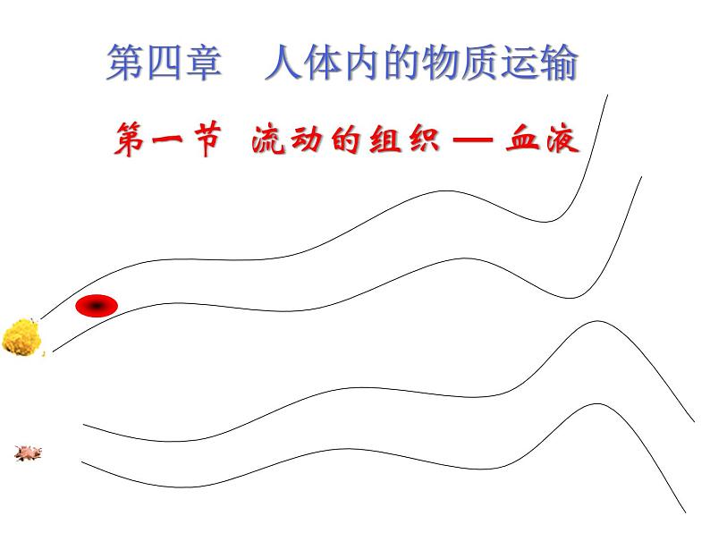 人教版七年级生物下册4-1流动的组织——血液(3)课件第2页