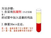 人教版七年级生物下册4-1流动的组织——血液(3)课件