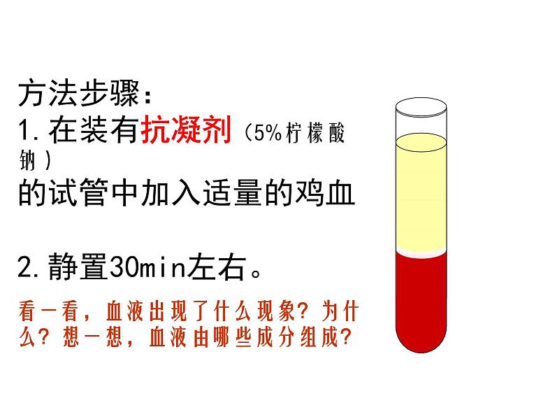 人教版七年级生物下册4-1流动的组织——血液(3)课件第4页