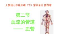 初中生物人教版 (新课标)七年级下册第二节 血流的管道──血管说课课件ppt