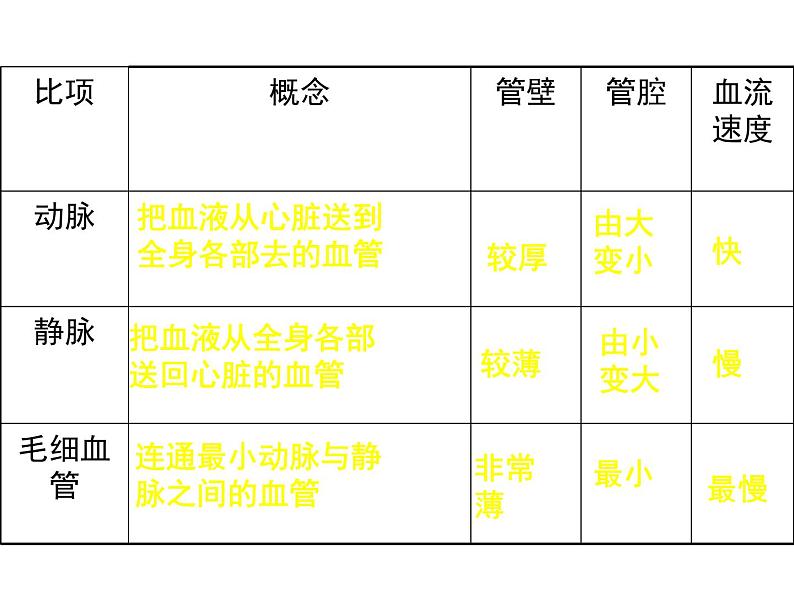 人教版七年级生物下册4-2血流的管道——血管(2)课件第5页